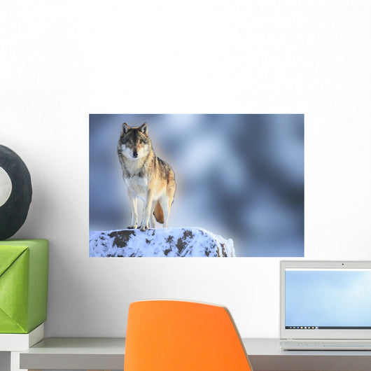 Wolf Wall Mural