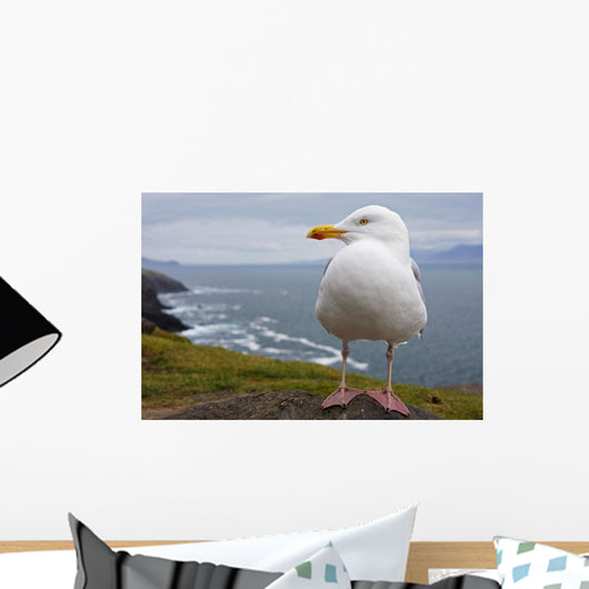 European Herring Gull Perched Wall Mural