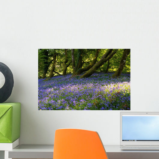 Mount Congreve Gardens Wall Mural