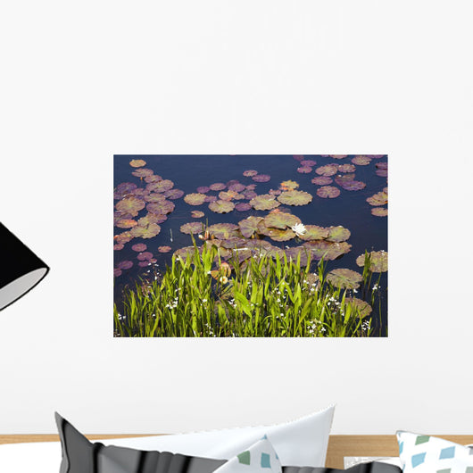 Lily Pads In A Lake Near Dunmanus Bay Wall Mural