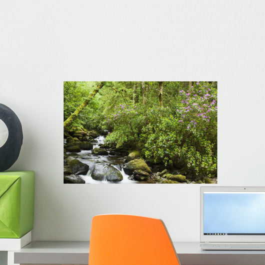 Water Flowing Down A River Surrounded By Lush Trees Wall Mural
