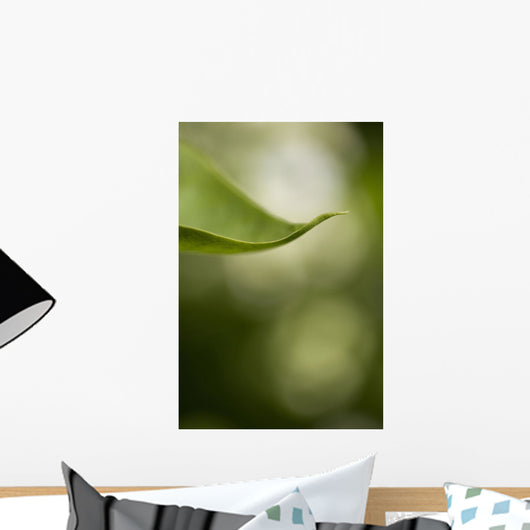 Close-Up Of White Lilac Leaf Wall Mural