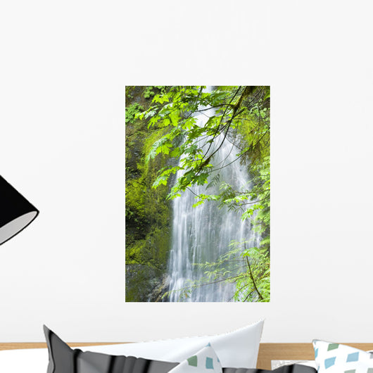 Marymere Falls, Olympic National Park Wall Mural