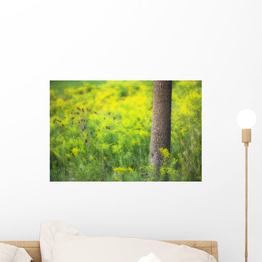 Goldenrod - Binbrook Conservation Area - Binbrook, Ontario, Canada Wall Mural
