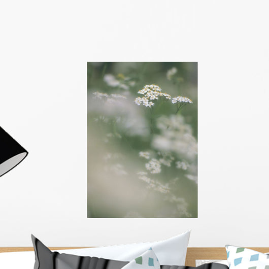 Cow Parsnip, Alberta, Canada Wall Mural