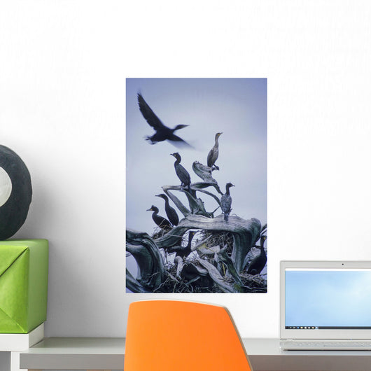Cormorants Fly Above Driftwood, Grey Sky, Galiano Island, Bc Wall Mural