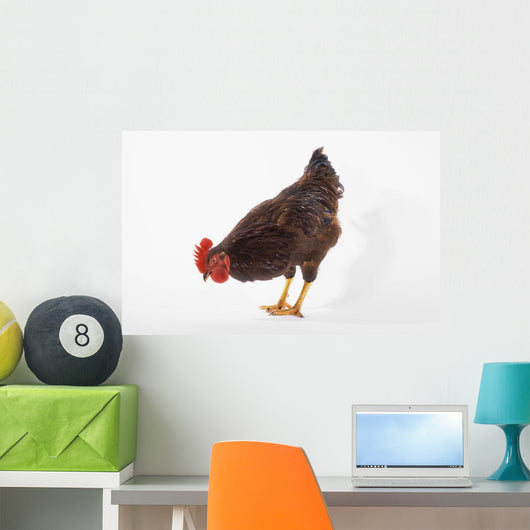 Rooster Wall Decal
