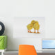 Yellow Chicks Baby Chickens Wall Mural