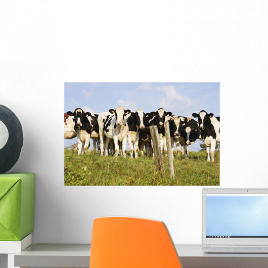 View Of Cows, Bas-Saint-Laurent Region, Quebec, Canada Wall Mural