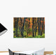 Ontario Canada Wall Mural