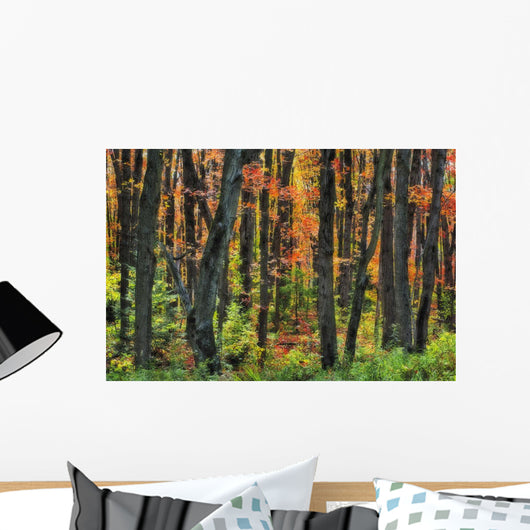Ontario Canada Wall Mural
