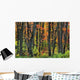 Ontario Canada Wall Mural
