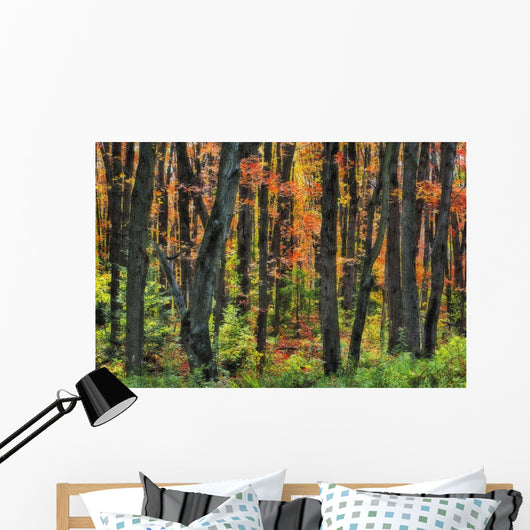 Ontario Canada Wall Mural