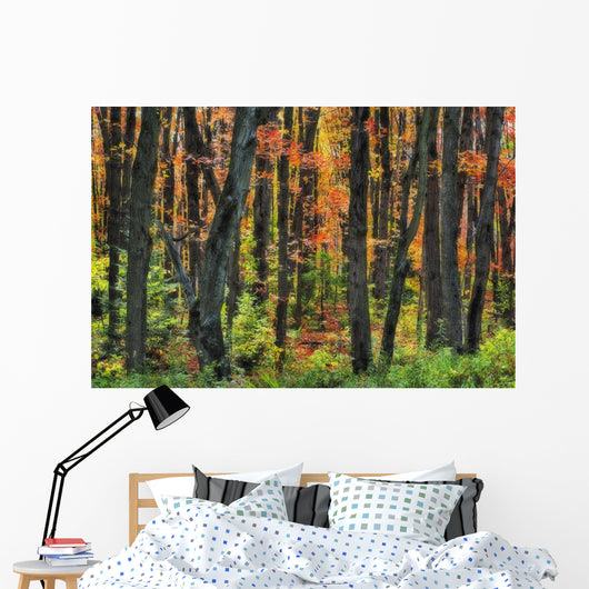 Ontario Canada Wall Mural