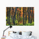 Ontario Canada Wall Mural