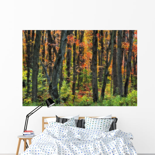 Ontario Canada Wall Mural