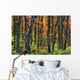 Ontario Canada Wall Mural