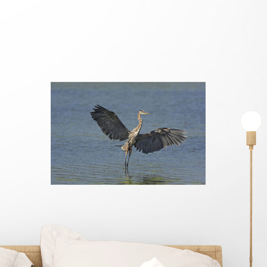 Great Blue Heron Flies Through Wetland Marsh Wall Mural