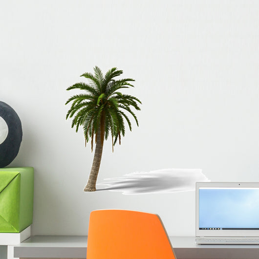 Palm Tree