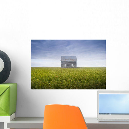 Old House, Manitoba, Canada Wall Mural