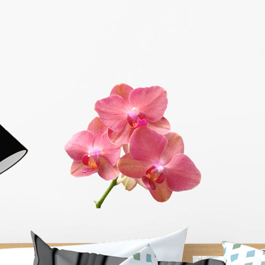 Pink Orchid Wall Decal