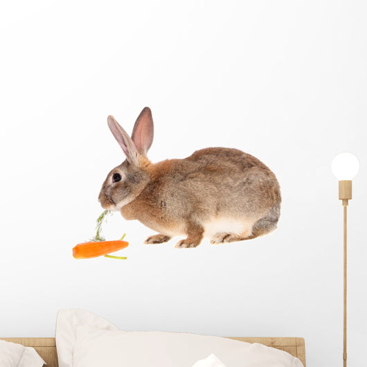 Rabbit with Meal Wall Mural