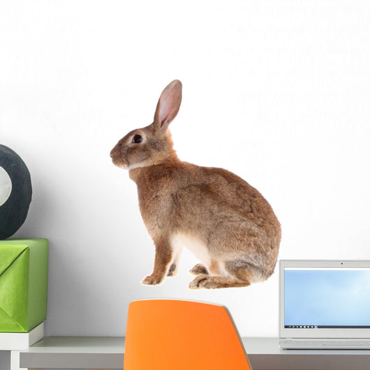 Brown Rabbit Wall Decal
