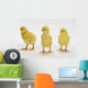 Yellow Chicks Baby Chickens Wall Mural