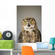 Immature Great Horned Owl Wall Mural