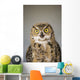 Immature Great Horned Owl Wall Mural