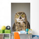 Immature Great Horned Owl Wall Mural