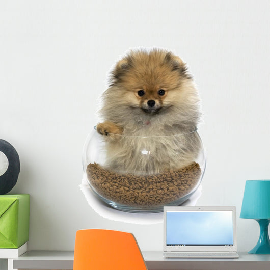 A pomeranian dog puppy in a punch bowl Wall Decal