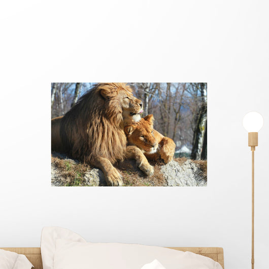 Lion and Lioness