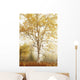 Birch Trees In Autumn Wall Mural
