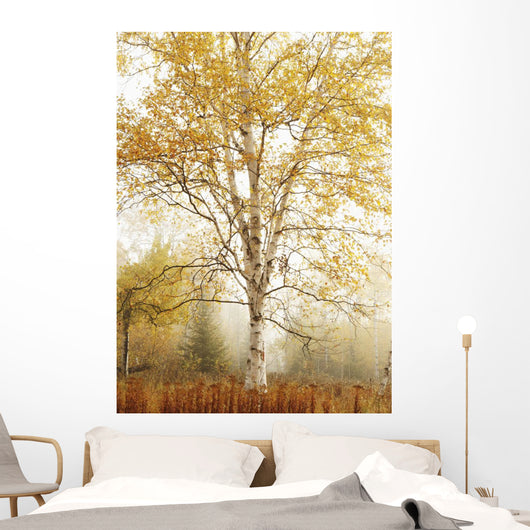 Birch Trees In Autumn Wall Mural