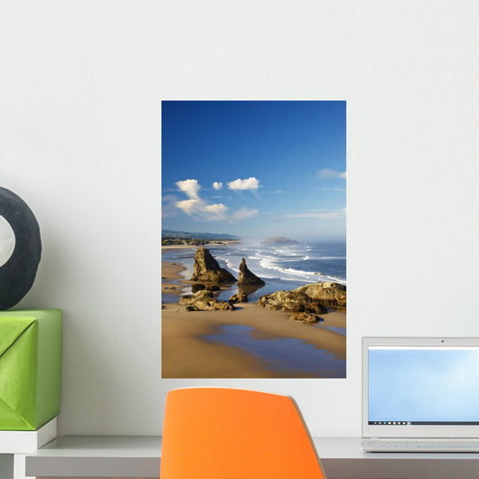 Morning Light Adds Beauty To Rock Formations At Bandon State Park Wall Mural