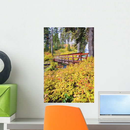 Autumn Colours Add Beauty To Umbrella Falls Wall Mural