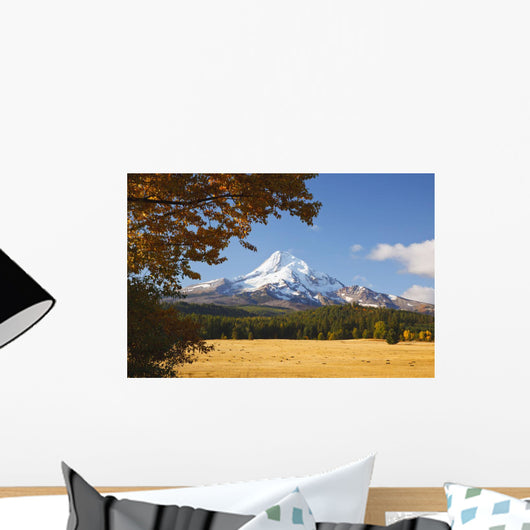 Mount Hood And Autumn Colours In Hood River Valley Wall Mural