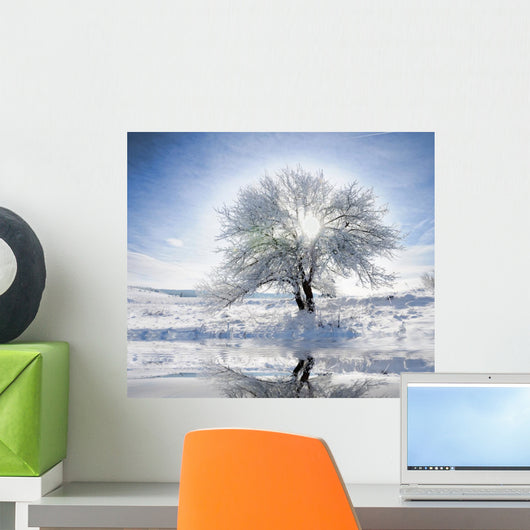 frozen winter trees Wall Mural