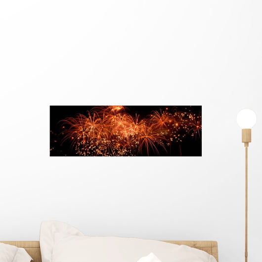 Fireworks Wall Mural