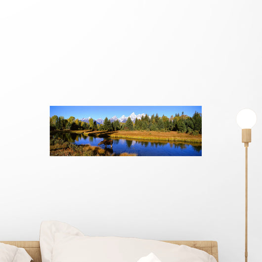 Cow Moose, Snake River, Grand Teton Np, Wy Wall Mural