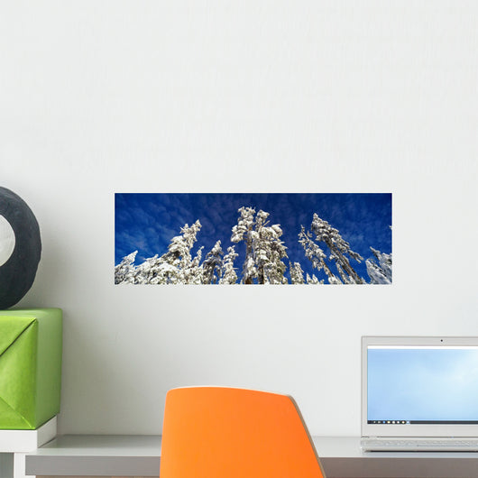 Scenic, Winter, Grouse Mtn, North Vancouver, Bc Wall Mural