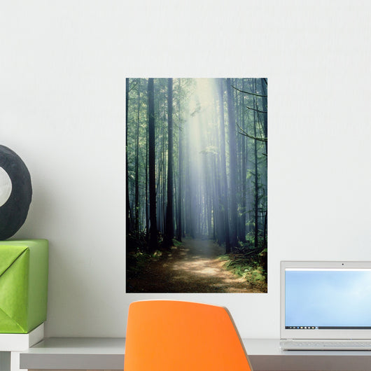 T Bonderud Wall Mural