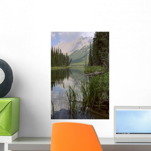 Reflections On Beaver Lake, Jasper National Park, Alberta Wall Mural