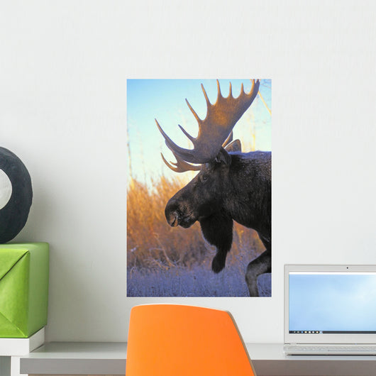 Tk0235, Thomas Kitchin Wall Mural