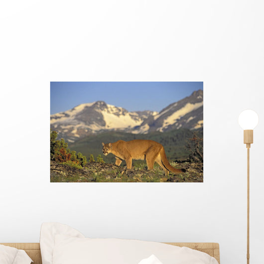 Tk0588, Thomas Kitchin Wall Mural