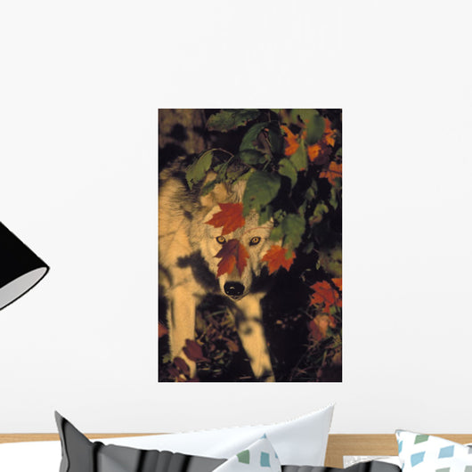 Tk0639, Thomas Kitchin Wall Mural