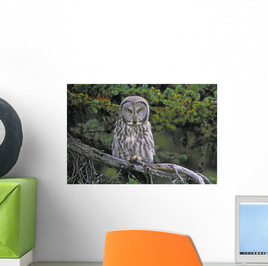 Tk0662, Thomas Kitchin Wall Mural