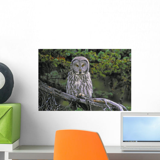 Tk0662, Thomas Kitchin Wall Mural