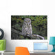 Tk0662, Thomas Kitchin Wall Mural